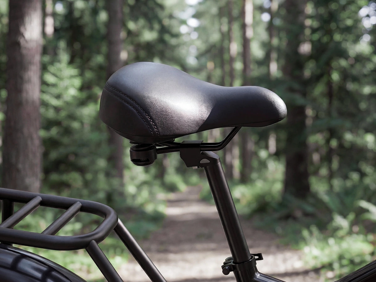Bicicleta eléctrica todoterreno para adultos FENGQS H6 PRO