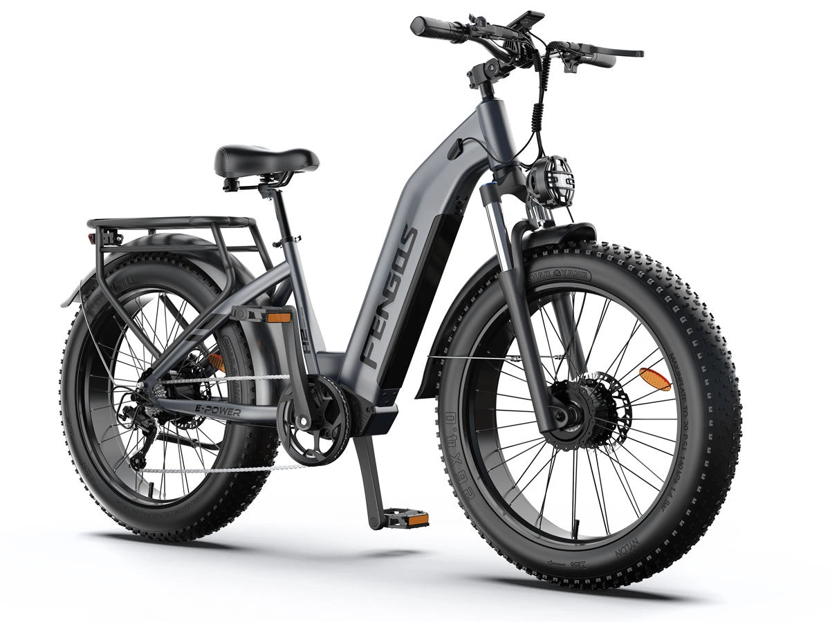 Bicicleta eléctrica todoterreno de doble motor FENGQS H2 PRO