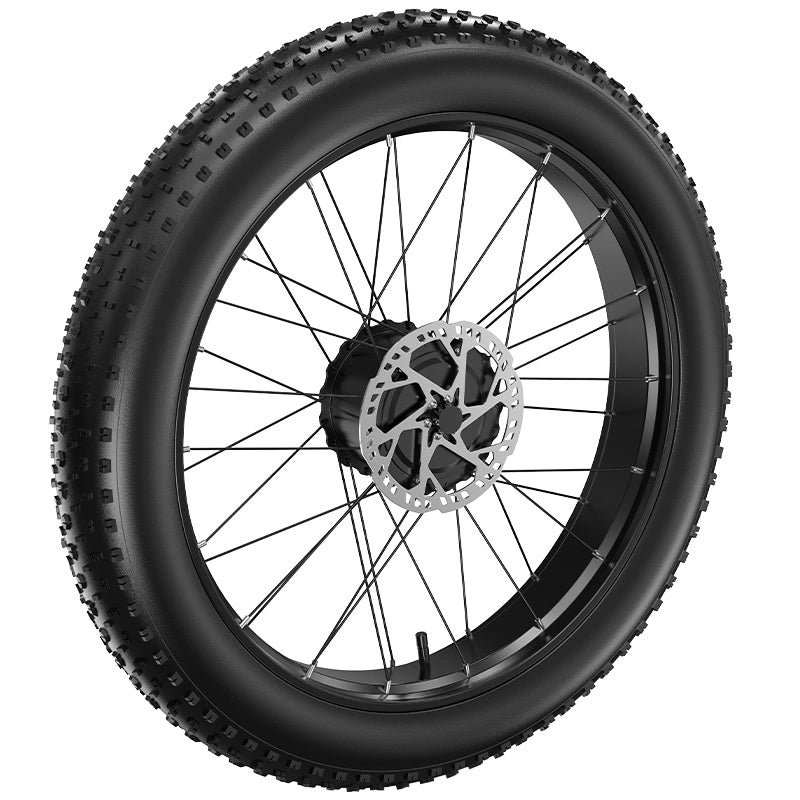 Motor para bicicleta eléctrica FENGQS con neumático