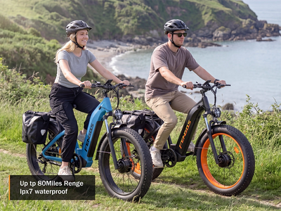 Bicicleta eléctrica todoterreno de doble motor FENGQS H2 PRO