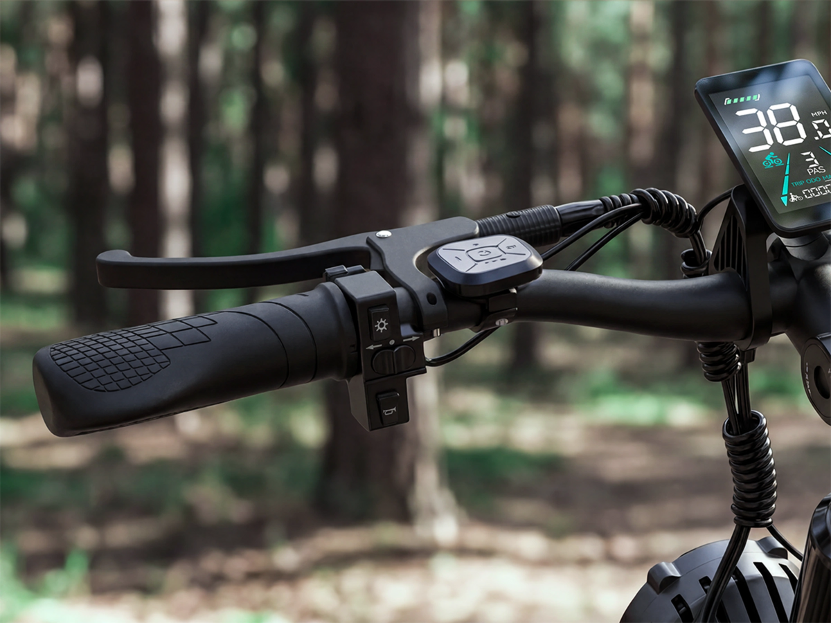 Bicicleta eléctrica todoterreno de doble motor FENGQS H2 PRO
